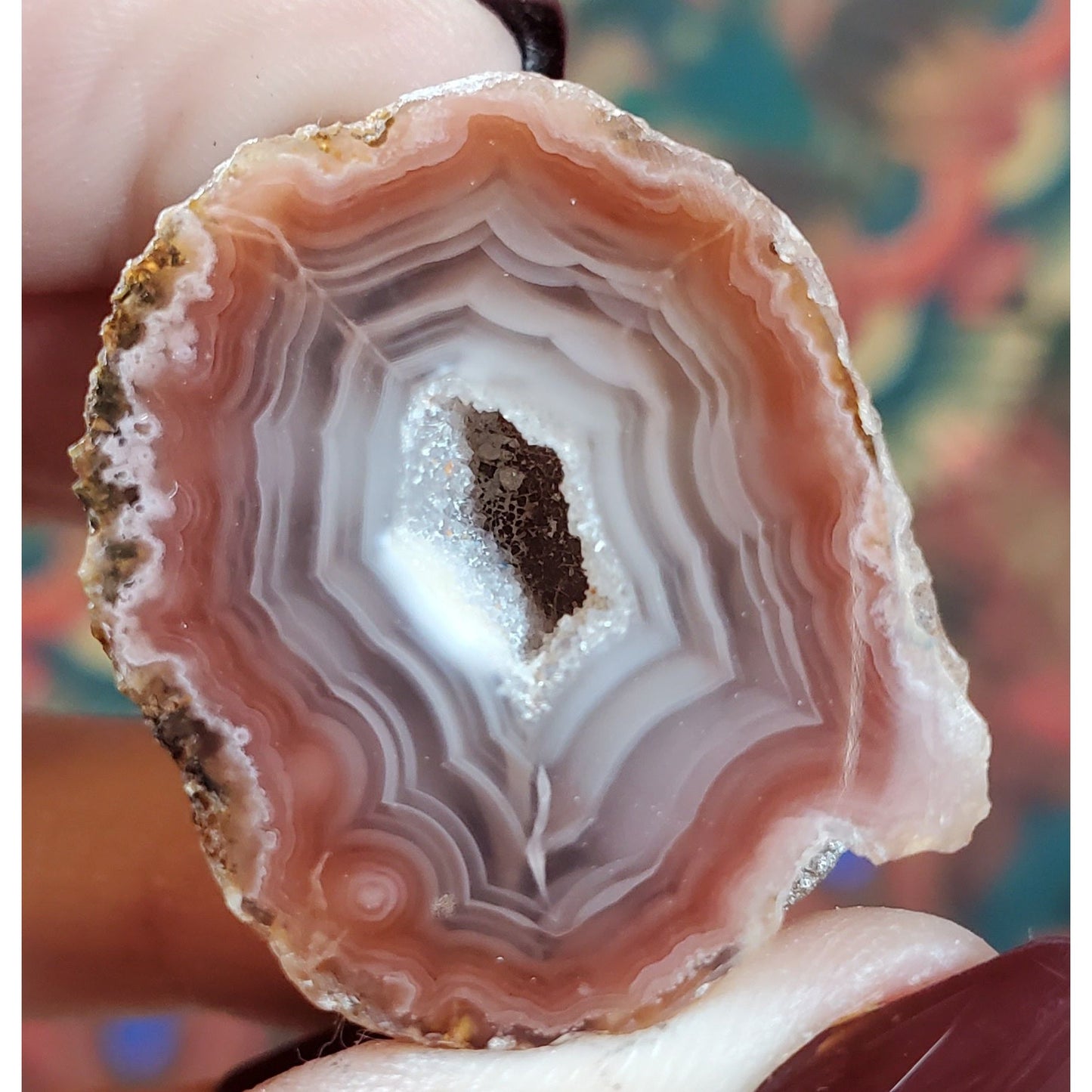 Coyamito Agates