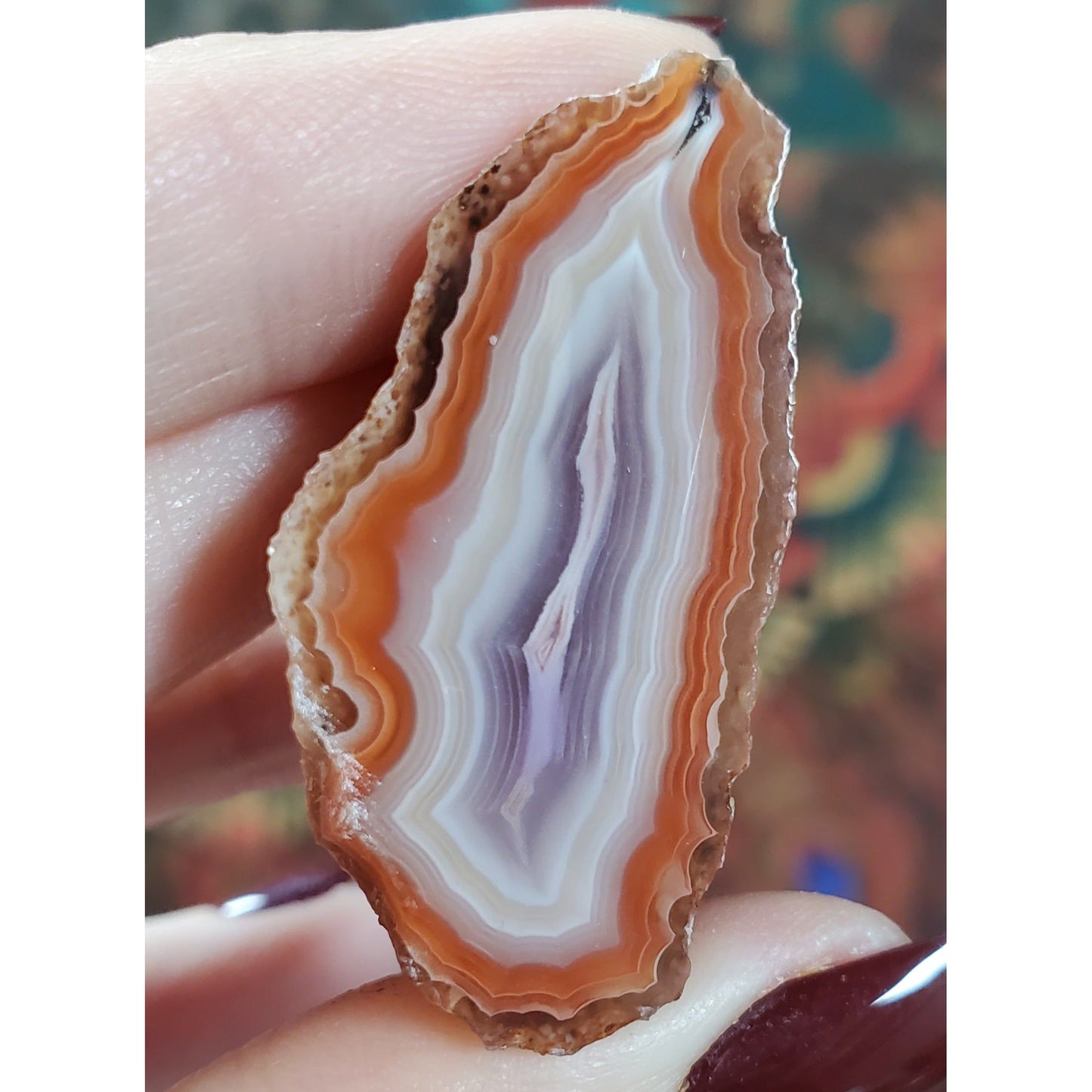 Coyamito Agates