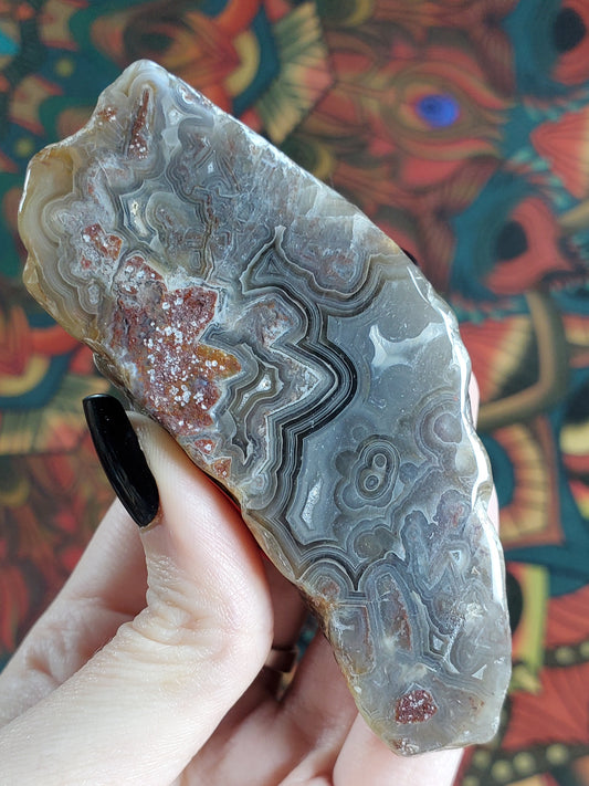 Laguna Lace Agate