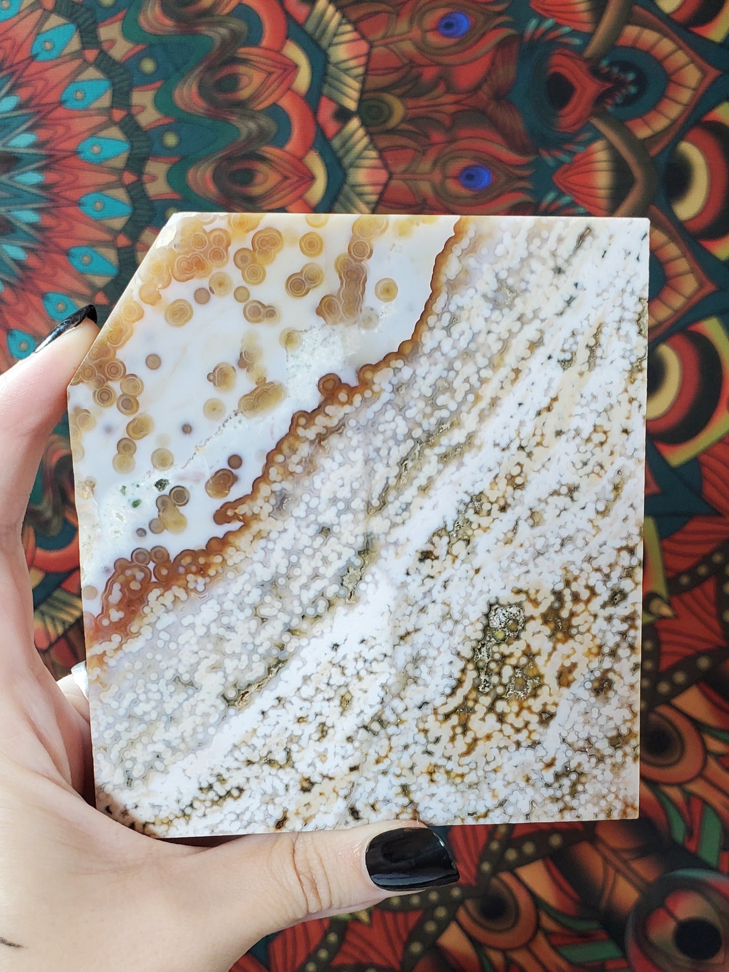 Ocean Jasper Slabs