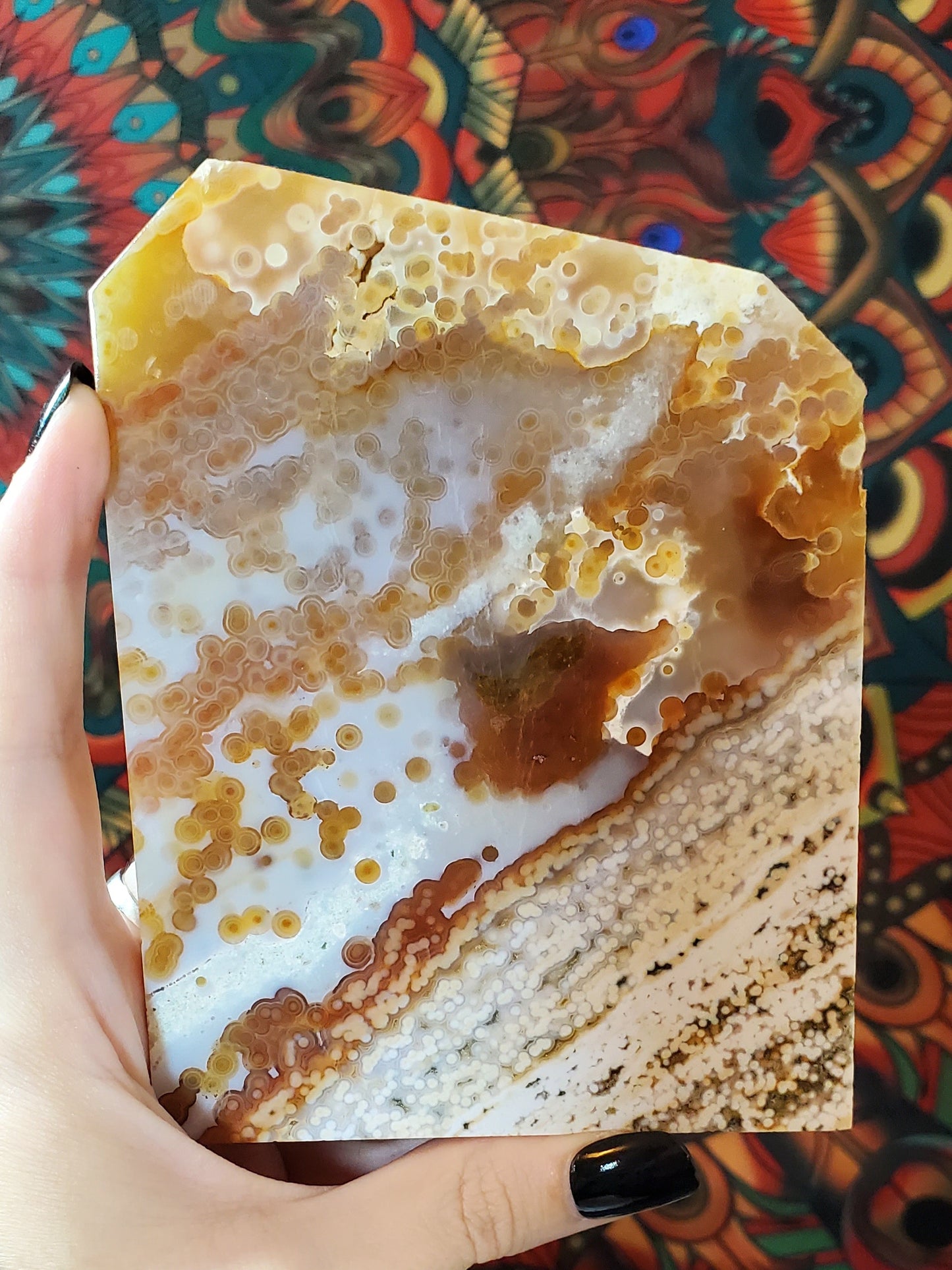 Ocean Jasper Slabs