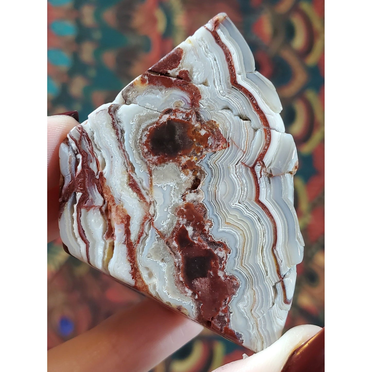 Crazy Lace Agate Freeforms