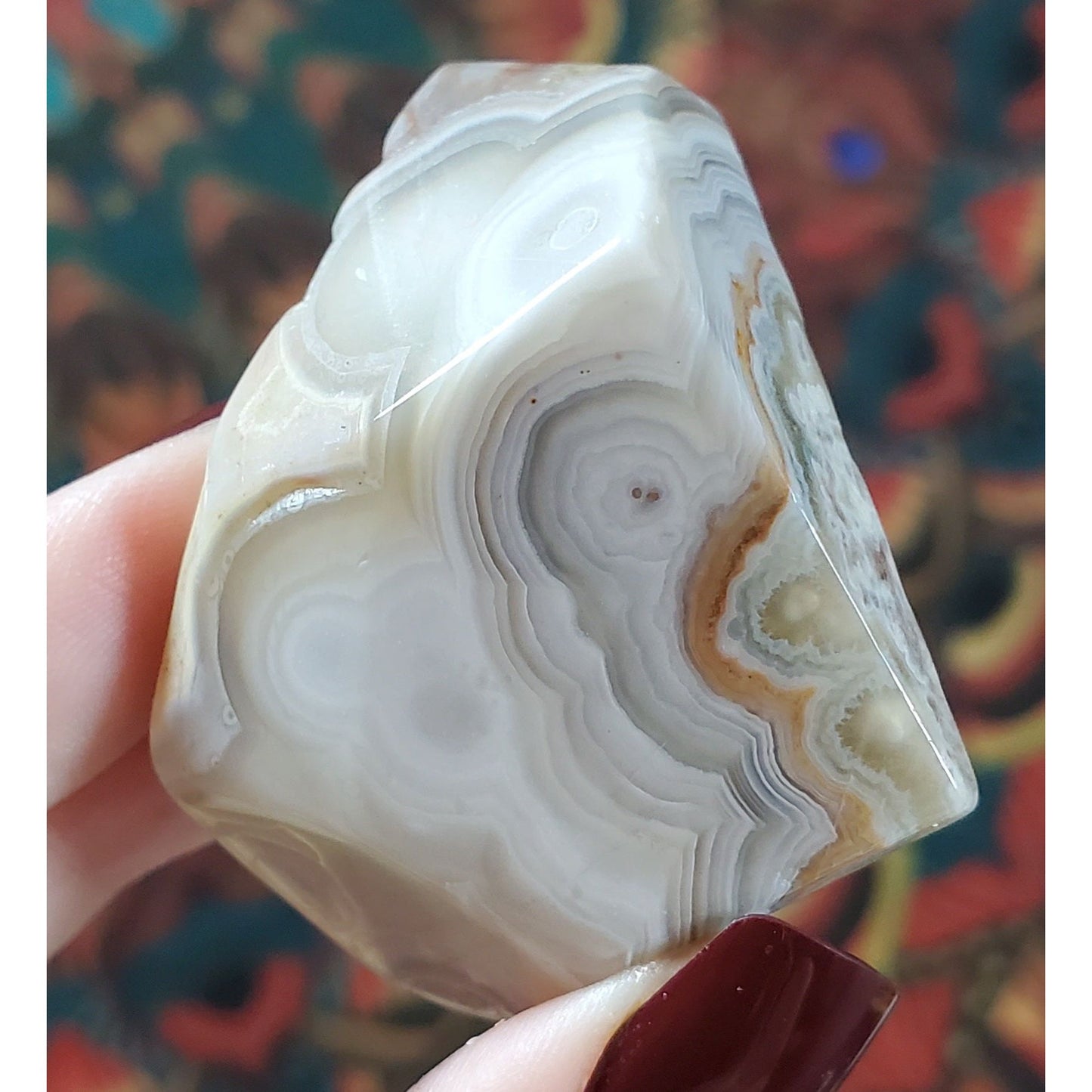 Crazy Lace Agate Freeforms