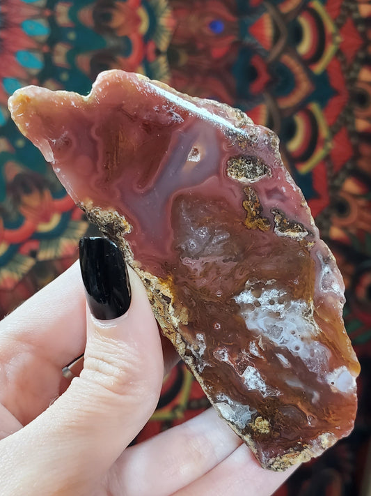 Agua Nueva Agates