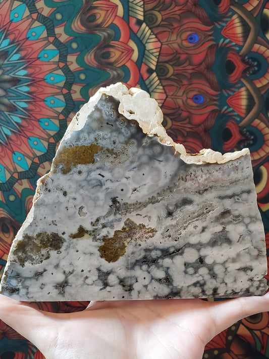 Blue Ocean Jasper Slabs