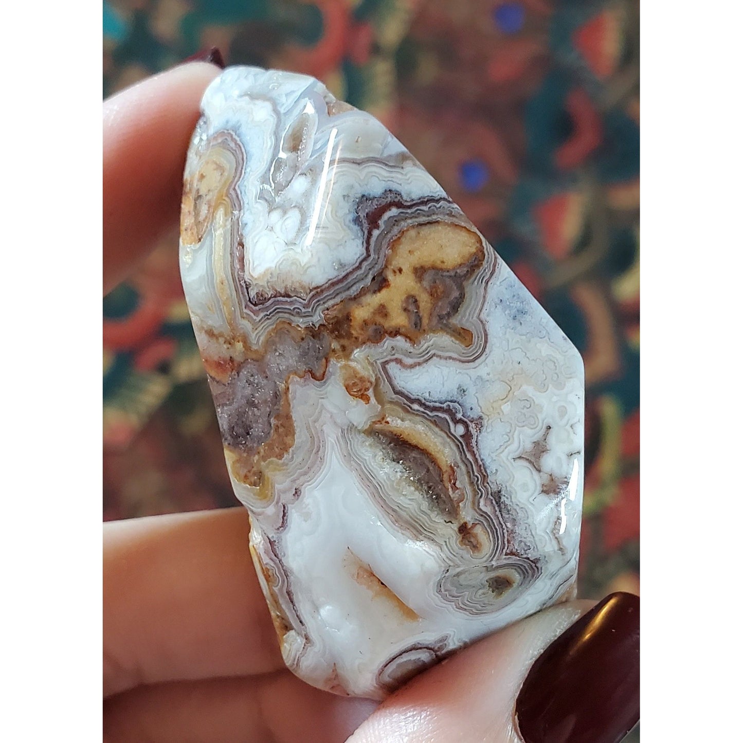 Crazy Lace Agate Freeforms